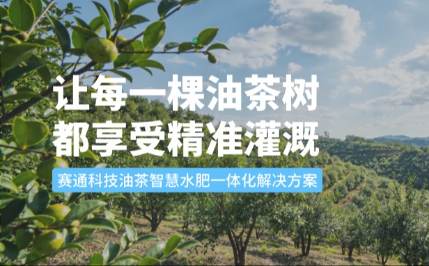 赛通科技油茶z6com官网水肥一体化解决方案：让每一棵油茶树都享受精准灌溉