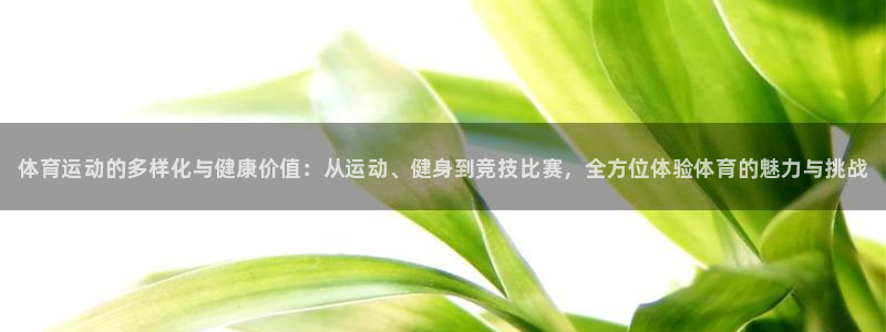 尊龙官方正版app娱乐首页网站大全：体育运动的多样化