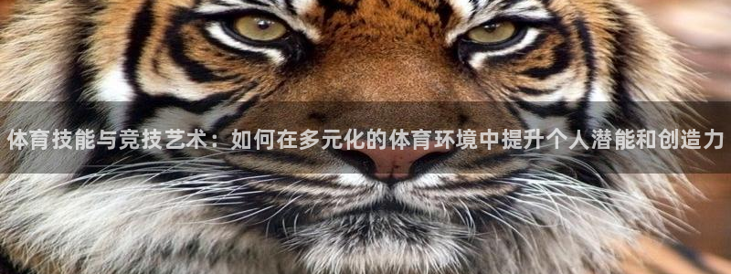 尊龙官网下载平台假的吗是真的吗吗：体育技能与竞技艺术