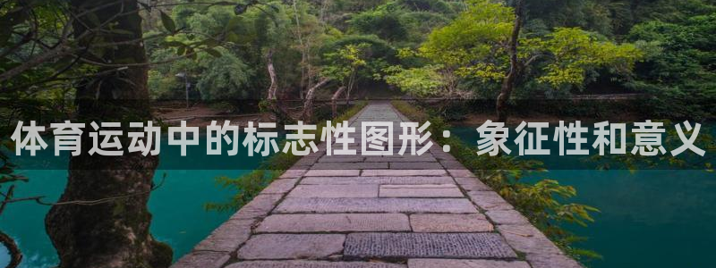 尊龙官方正版app集团：体育运动中的标志性图形：象征