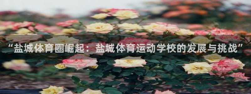 尊龙官方正版app开户：“盐城体育圈崛起：盐城体育运