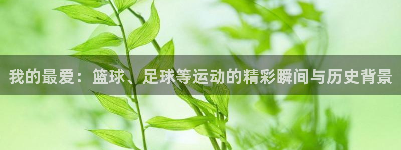 尊龙官网下载招商电话是多少啊：我的最爱：篮球、足球等