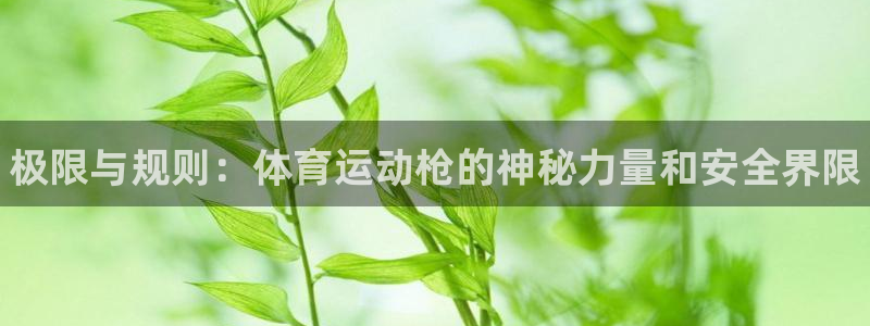 尊龙官网下载平台注册流程图：极限与规则：体育运动枪的