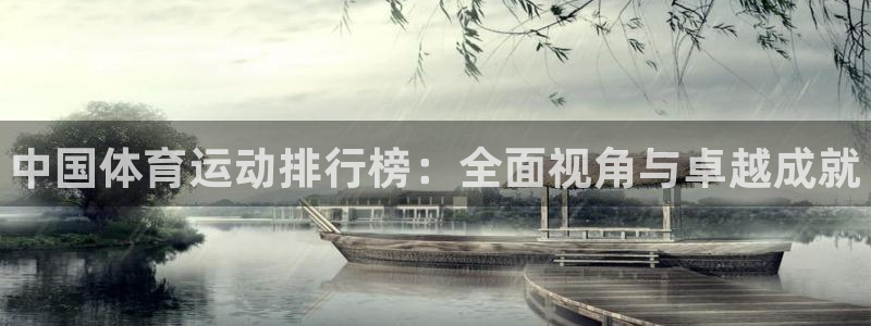 尊龙官网下载平台APP：中国体育运动排行榜：全面视角