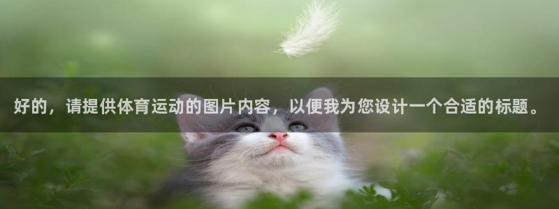 尊龙官方正版app娱乐首页网站大全